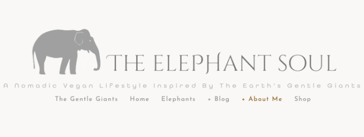 the elephant soul blog