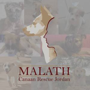 malath canaan rescue jordan