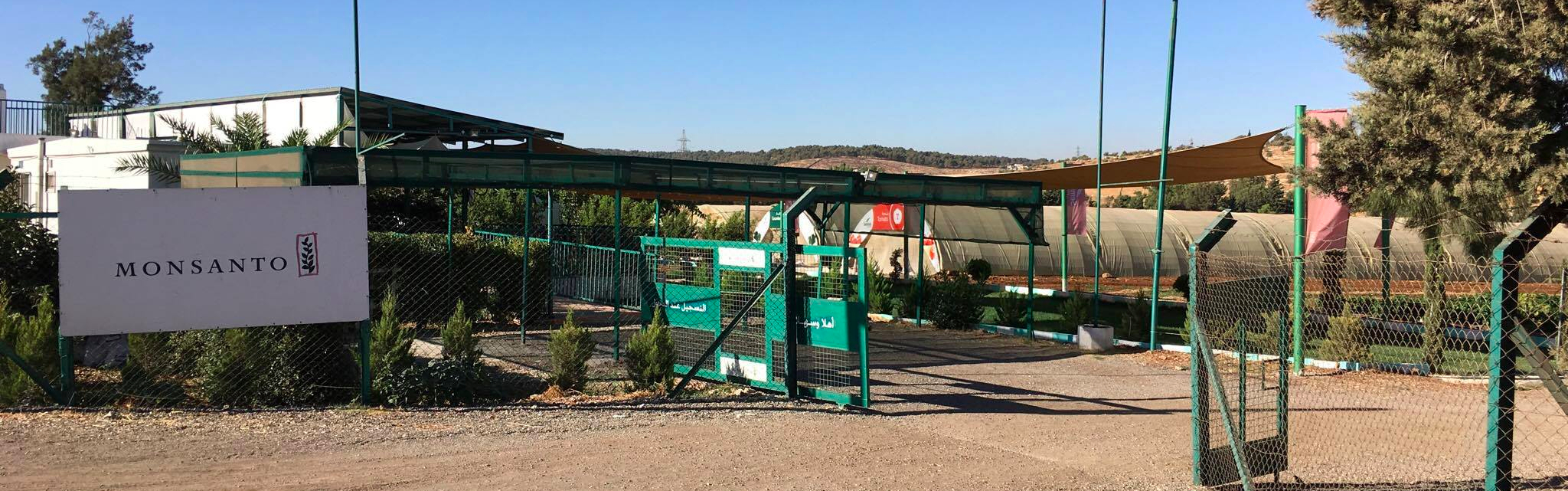 monsanto amman airport road