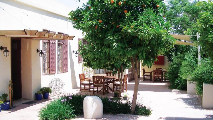 nabad art gallery amman