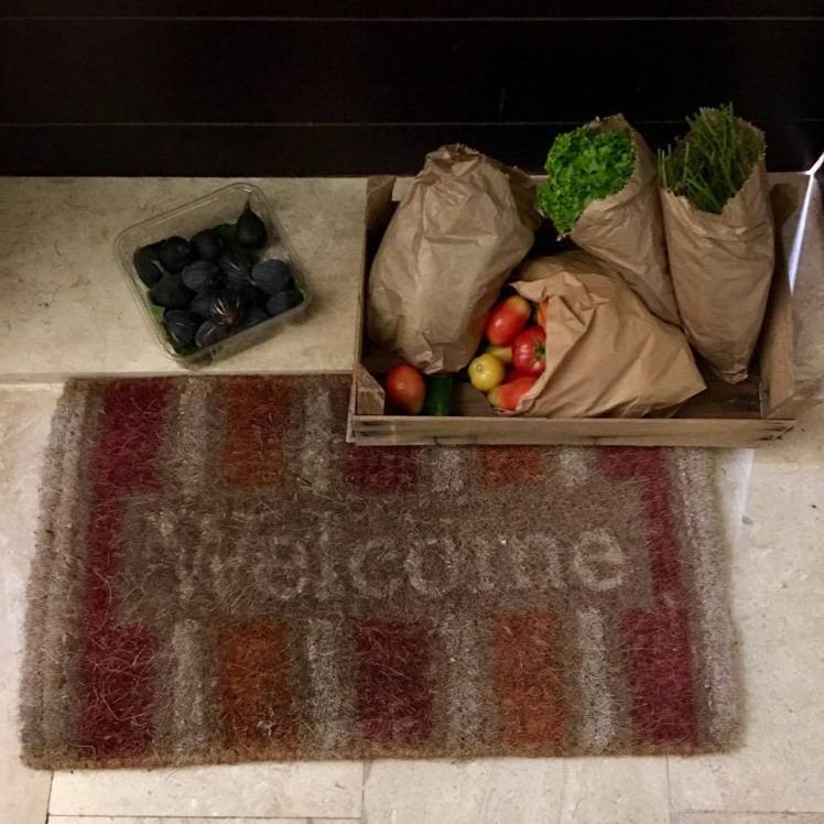 jabbok farms organic fruit veggies delivery amman