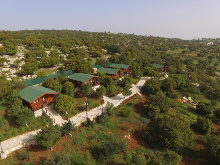 mountain breeze amman lodges