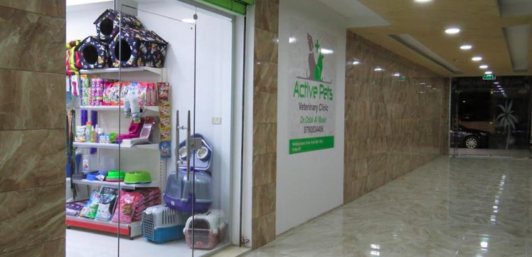active pets vet amman