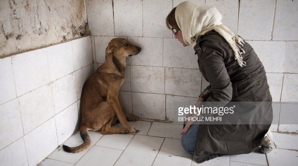 dog and muslim woman