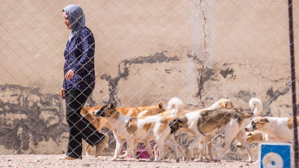 rodica al rabee rescue aqaba