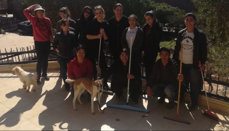 volunteers al rahmeh animal rescue jordan