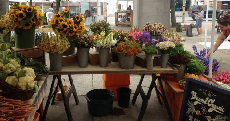 farmers market amman
