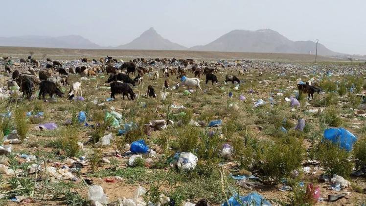 jordan land of trash