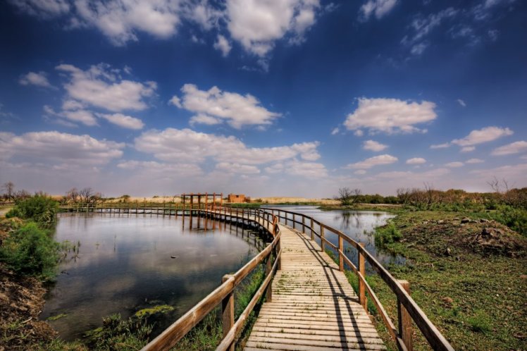 azraq wetland reserve jordan