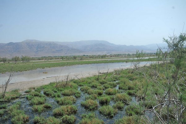 fifa nature reserve jordan