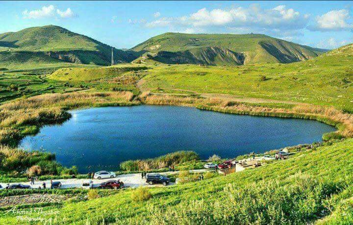 yarmouk forest reserve