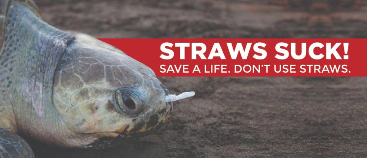 straws suck turtle